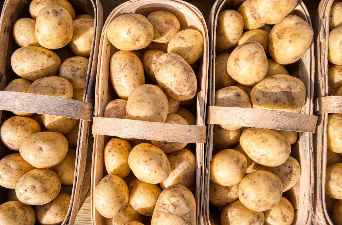 Quelle variété de pommes de terre pour la Raclette de Savoie ?
